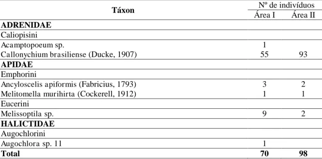 Tabela 2  –  Espécies de abelhas capturadas com armadilhas pan traps em duas áreas de cultivo agroecológico do  algodoeiro (Gossypium hirsutum L