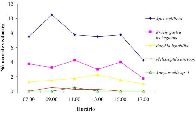 Figura 1 – Padrão médio de visitação de insetos às flores de algodoeiro (Gossypium hirsutum) em Quixeramobim – CE.