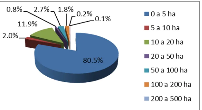 Figura  6:  Percentual  de  Estabelecimentos  Agropecuários  com  Uso  de  Irrigação  por  Grupo de Área de Acordo com o Censo Agropecuário de 2006