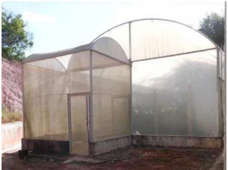 Figura  1  -  Casa  de  vegetação  utilizada  nos  experimentos  de polinização do tomate tipo “cereja” no  município de Viçosa - MG