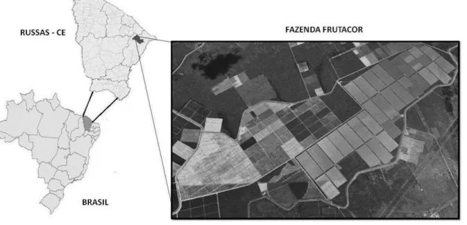 Figura 1. Localização da Fazenda Frutacor, no Perímetro Irrigado do município de Russas, Ceará, Brasil