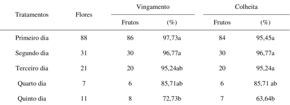 Tabela 2 – Valores para vingamento e colheita de frutos de pinhão-manso (Jatropha curcas L.), a partir  de flores polinizadas manualmente, em diferentes dias desde a antese