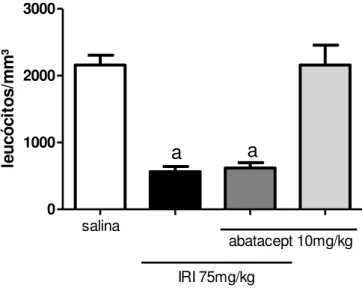 Figura 17. Efeito do abatacept sobre a contagem total de leucócitos nos animais tratados com  irinotecano (75 mg/kg)