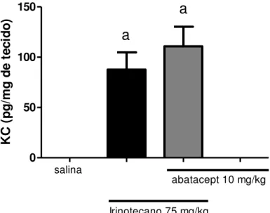 Figura  26.  Efeito  do  abatacept  no  nível  de  KC  no  íleo  de  camundongos  tratados  com  irinotecano 75 mg/kg