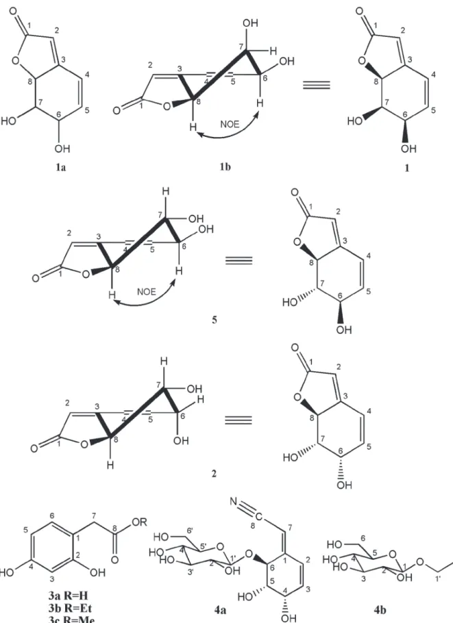 Figure 1 -  Chemical structures of compounds  1 - 4  isolates from B. pentandra.