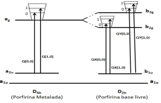 Figura 7  –  Representação das transições entre os diferentes níveis eletrônicos e  vibracionais de uma porfirina base livre (D 2h ) e de uma metaloporfirina (D 4h )