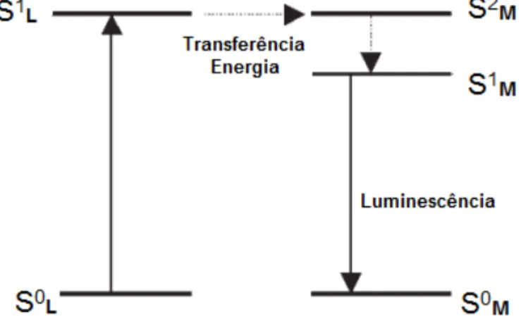 Figura 9  –  Representação esquemática do Efeito Antena: a radiação é absorvida pelo  ligante e a energia transferida para espécie luminescente central (metal) que emite na 