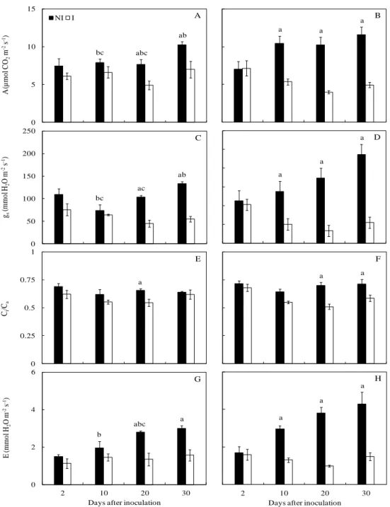 Figure  3.  Net  carbon  assimilation  rate  (A)  (A  and  B),  stomatal  conductance  to  water  vapor  (g s ) (C and D), internal to ambient CO 2  concentration ratio (C i /C a ) (E and F) and transpiration 