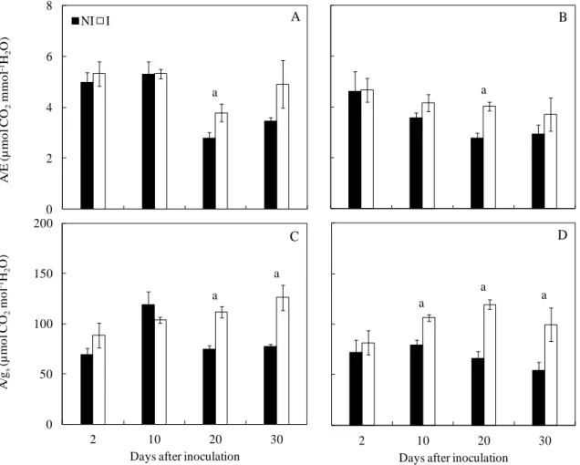 Figure  4.  Instantaneous  water  use  efficiency  (A/E)  (A  and  B)  and  intrinsic  water  use  efficiency (A/g s ) (C and D) determined in the leaves of mango plants from cultivars Ubá (left 