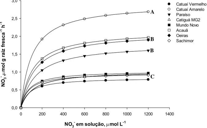 Figura 2: Absorção de NO3 - por raízes de cultivares de café (μmol g -1 h -1 ), cultivadas em condição de déficit hídrico moderado (-1,5 MPa), como a variação da concentração externa do íon (μmol L -1 ).