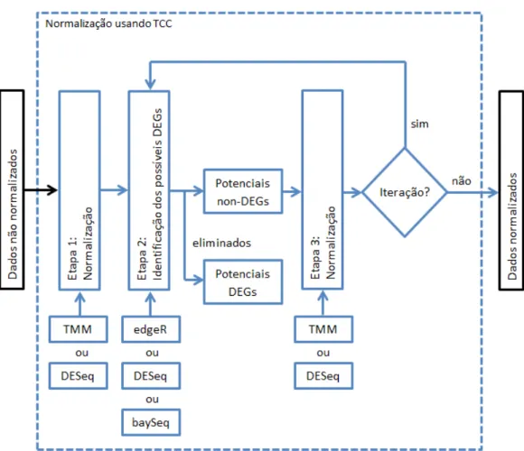 Figura  2:  Esquema representando o algoritmo utilizado para normalização de dados usando o método TCC