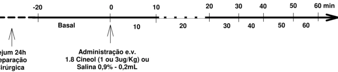 Figura 3.2.1 – Delineamento experimental utilizado para avaliação do efeito do  sildenafil ou veículo sobre o VG, PA, PVC e FC de ratos anestesiados