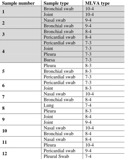 Table 3  – M. hyorhinis MLVA types identified in pigs from which more than one sample  type was evaluated