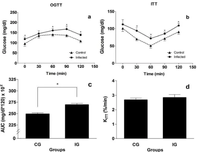 Fig. 2. Blood glucose response after the oral glucose tolerance test (OGTT) and insulin  tolerance test (ITT) of rats from control (CG, n=10) and infected (IG, n=10) groups