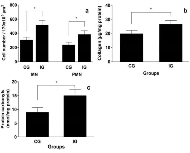 Fig. 6. Analysis of inflammation, collagen and protein oxidation in the pancreas of rats  from control (CG, n=10) and infected (IG, n=10) groups