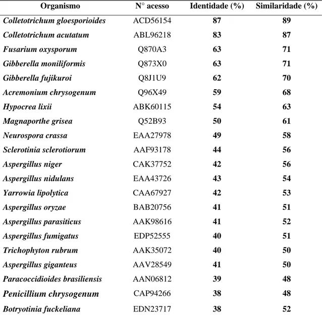 Tabela 4 - Similaridade e identidade da proteína PacCl com seus ortólogos* PacC/Him101 