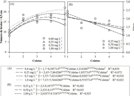 Figura  5.  Características  observadas  no  cultivo  in  vitro  do  clone  de  Eucalyptus  urophylla x E