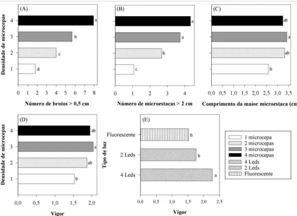 Figura 4. Características observadas nas microcepas in vitro do clone de Eucalyptus  grandis x E