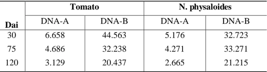 Table 1. Total reads mapped to the Tomato severe rugose vrius (ToSRV) genome in 