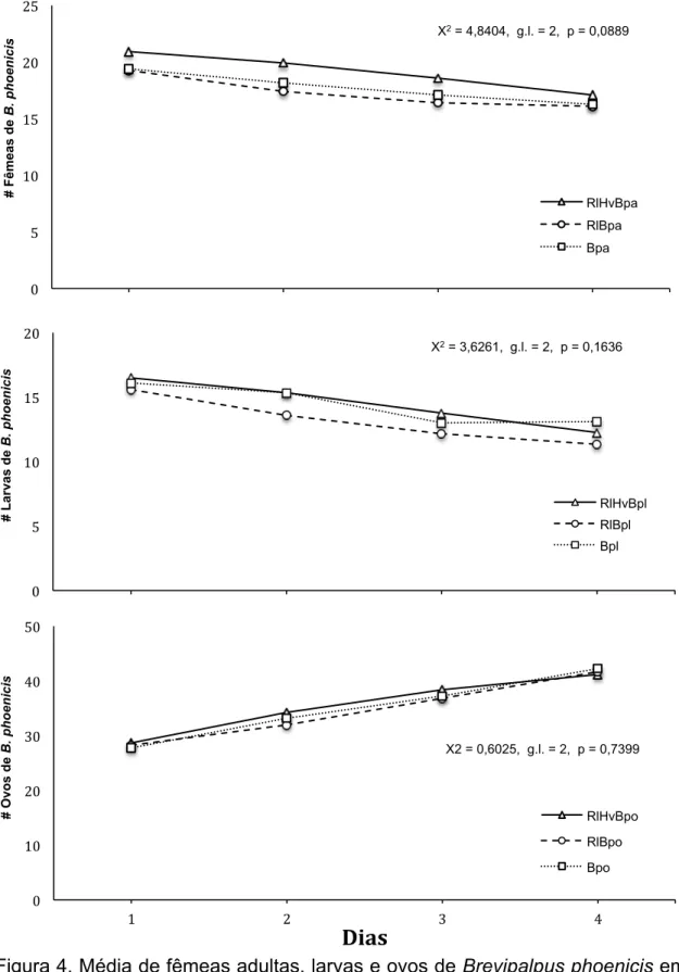 Figura 4. Média de fêmeas adultas, larvas e ovos de Brevipalpus phoenicis em  discos  de  cafeeiro  com  Ricoseius  loxocheles