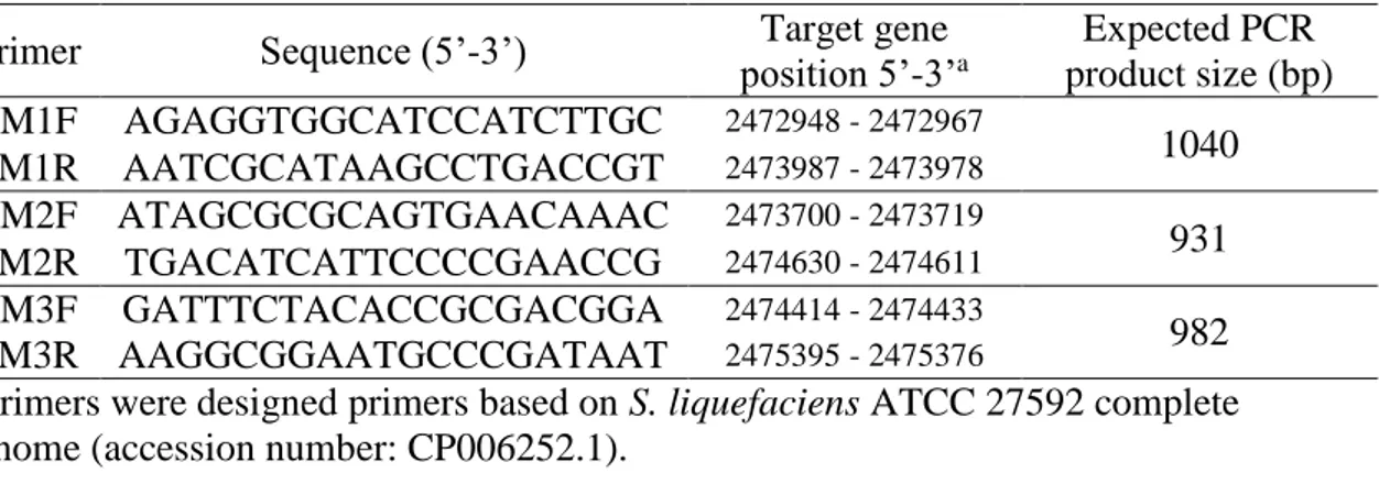 Table 2  – Primers used to amplify ser2 gene from S. liquefaciens isolates.   Primer  Sequence (5’-3’)  position 5’-3’Target gene  a