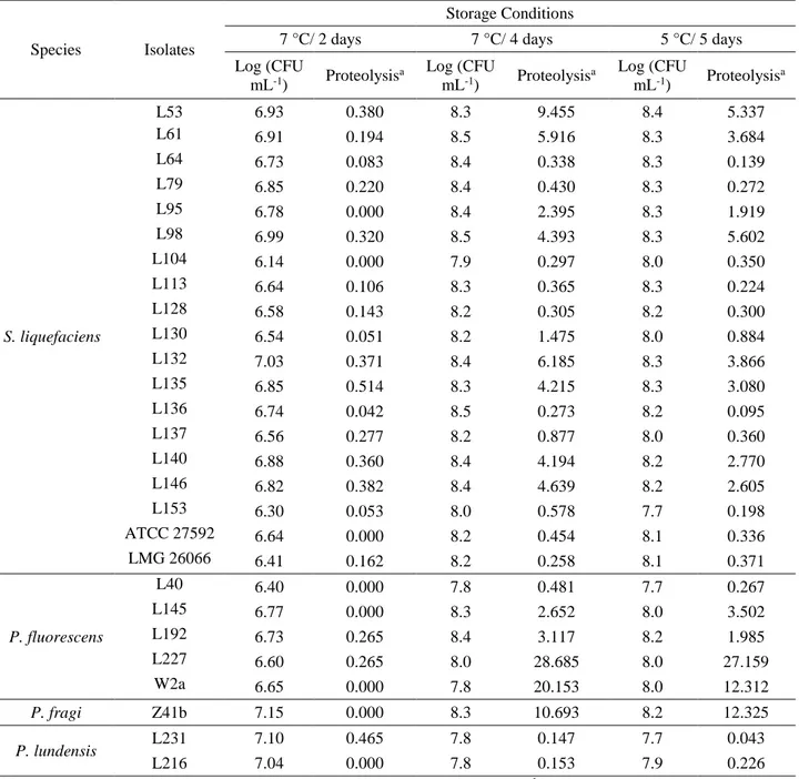 Table 3  – Protein degradation by heat-resistant proteases produced by S. liquefaciens  and Pseudomonas spp