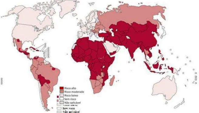 Figura 3. Distribuição dos níveis de risco para raiva humana no mundo, 2011. 