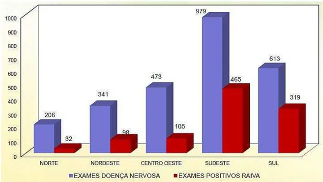 Figura  6.  Resultados  dos  exames  coletados  para  vigilância  epidemiológica  da  raiva  e  encefalopatias, por região do Brasil, 2012 (BRASIL, 2013)