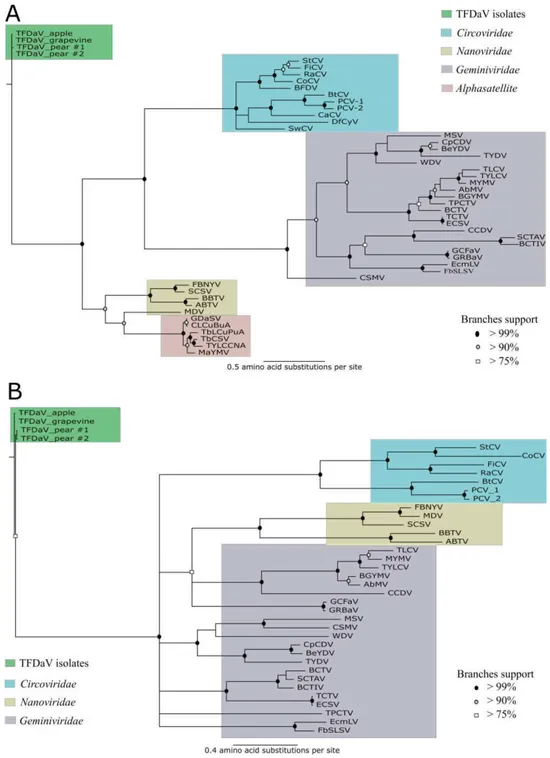 Figure  3.  Phylogenetic  reconstruction  trees  describing  the  evolutionary  relationships  between 