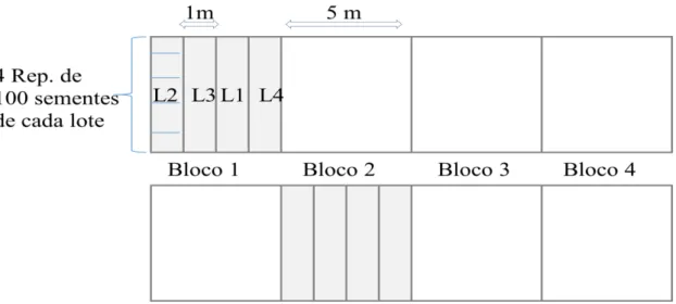 Figura 1: Esquema ilustrativo do ensaio de campo (Viçosa, MG, 2014). 