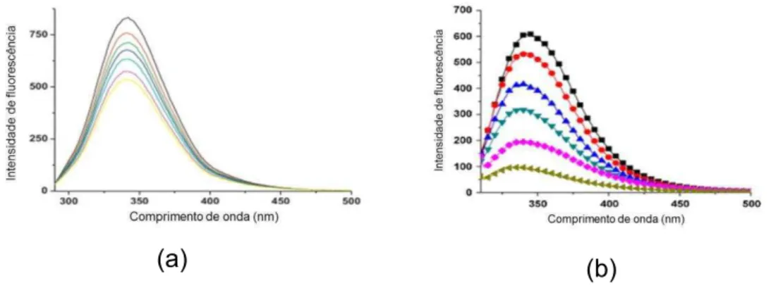 Figura 11:  Espectros de  emissão de fluorescência:  (a) espectros de  fluorescência da  BSA  extinta  por  nanopartículas  de  ouro  (Fonte:  NAVEENRAJ  et  al.,  2010);  (b)  espectros  de  fluorescência  de  BSA  e  BSA  na  presença  de  concentrações 