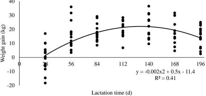 Fig. 3. Effects of stage of lactation on weight gain of nursing Nellore cows 