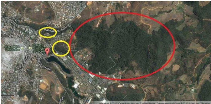 Figura 4  – Imagem de satélite apresentado por Weisfield (2013) mostrando as  áreas  de  vida  do  grupo  casa  19  (em  amarelo)  e  do  grupo  casa  50  (em  roxo)  (dados não publicados) (Fonte: Weisfield, 2013)
