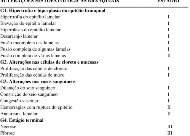 Tabela  2. Classificação das  alterações  histopatológicas  das  brânquias quanto  ao tipo e           localização  das  lesões  e  dos  estágios  em  que  se  inserem  de  acordo  com  POLEKSIC E MITROVIC-TUTUNDZIC (1994)