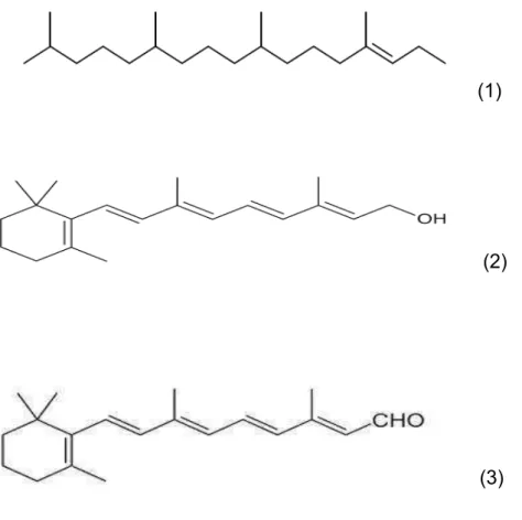 Figura  6:  Representação das  estruturas  do fitol  (1),  retinol  (2)  e retinal  (3),  compostos  de grande importância biológica encontradas em diterpenos