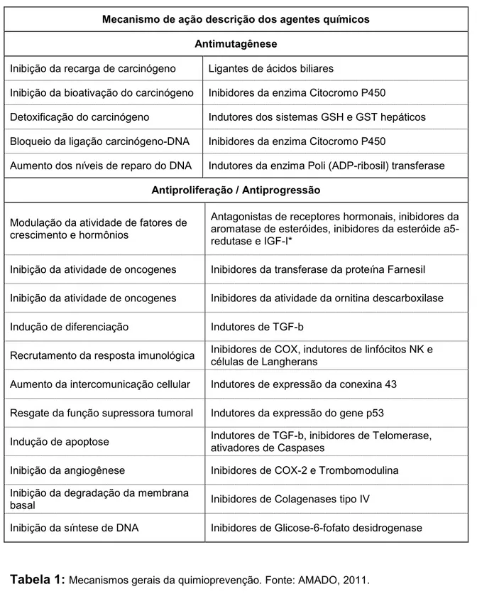 Tabela 1:  Mecanismos gerais da quimioprevenção. Fonte: AMADO, 2011.  