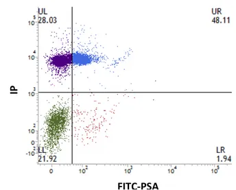 Figura 1: Gráfico de pontos (dot-plots) gerado pela análise por citometria de fluxo, em amostra  corada  com  PI  e  FITC-PSA,  permitindo  a  classificação  de  espermatozoides  em  quatro  categorias: LL, células viáveis; UL, células com membrana lesiona