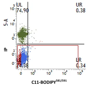 Figura 3: Gráfico de pontos (dot-plots) gerado pela análise por citometria de fluxo, em amostra  corada com PI e C11-BODIPY 581/591 , permitindo a classificação de espermatozoides em quatro  categorias:  LL,  membrana  íntegra  sem  peroxidação  lipídica; 