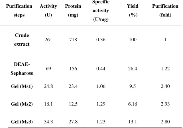 Table  6.  Purification  procedure  of  the    proteases  (Ms1,  Ms2  and  Ms  3)  of  Monacrosporium sinense (SF53)  Purification  steps  Activity (U)  Protein (mg)  Specific activity  (U/mg)  Yield  (%)  Purification (fold)  Crude  extract  261  718  0.3