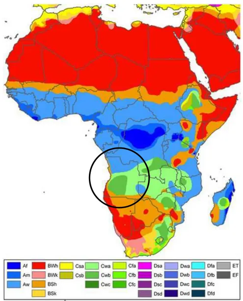 Figura  2.  Principais  tipos  de  clima  para  África  segundo  a  classificação  de    Köppen destaque para Angola