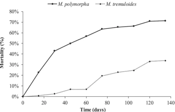 Figure 6: Seedling mortality of Meterosideros polymorpha and M. tremuloides caused 465 