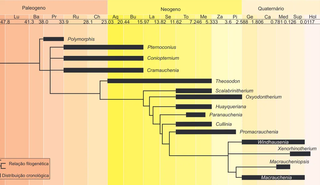 Figura 1.1 -  Hipótese filogenética da família Macraucheniidae, modificado de Schmidt &amp; Ferrero (2014), sobreposta na tabela geológica de  tempo.