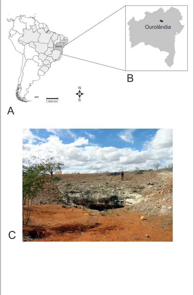 Figura  2  -  Localidade  de  origem  do  material  referente  a  Xenorhinotherium 