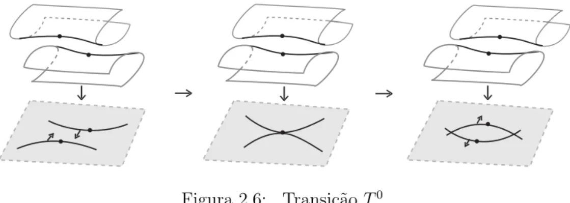 Figura 2.8: Transi¸c˜ao T 2