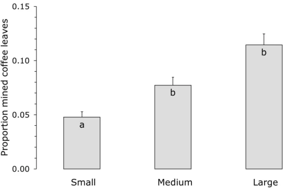 Figure 4. The average proportion (+ s.e.) of mined coffee leaves as a function of the size of the  nearby  Inga  tree