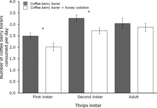 Figure 5. Average number of coffee berry borers (eggs and larvae) predated per day (+SE) by  different instars of thrips (Trybomia sp.) in the presence (white bars) or absence (grey bars) of  honey  solution