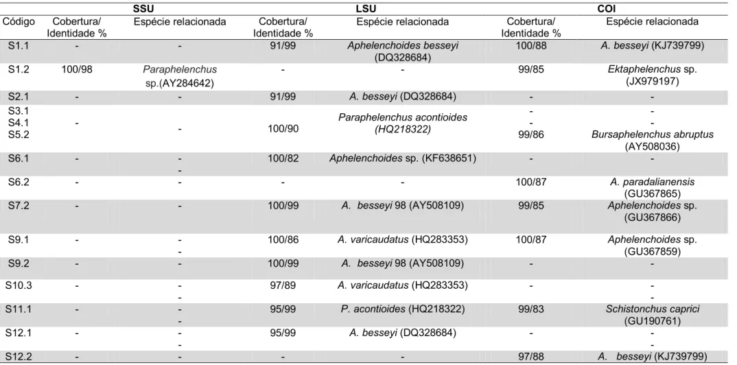 Tabela 5. Identidade das sequências SSU, LSU e COI obtidas de nematoides associados a sementes de gramíneas forrageiras compa radas  as sequências disponíveis no GenBank