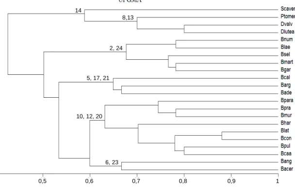 Figura 5 – Análise  de  agrupamento  (UPGMA)  de  espécies  de  Banisteriopsis.  Os números  indicam  os  caracteres  exclusivos  de  cada  grupo