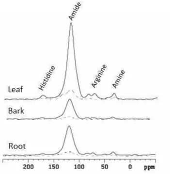 Figure 6. Full  15 N NMR spectrum (MultCP experiment) of double-labelled eucalypt  residue  individual  components  (leaf, bark,  branch,  wood and root) before  incubation