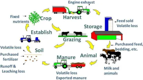 Figure 1. The Integrated Farm System Model modeling simulation of whole-farm dairy system